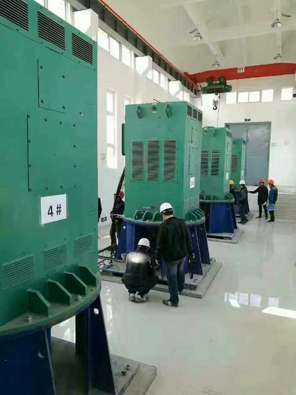 汤阴某污水处理厂使用我厂的立式高压电机安装现场